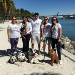 Hartsell Law staff walking dogs in Miami
